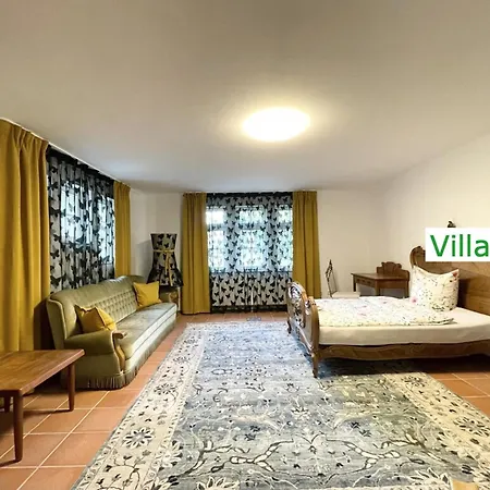 Villa Luxus Stadtvilla Emg Hannover Braunschweig Wolfsburg 20p