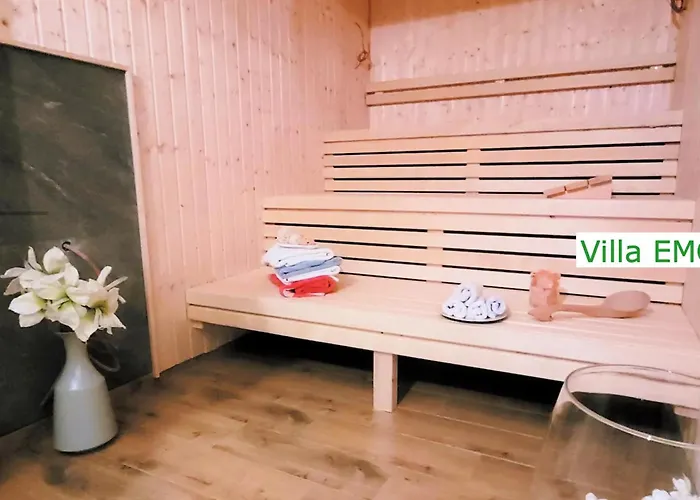 Luxus Emg Hannover, Messe, Braunschweig Mit Sauna, Garten Fuer Familien Gruppen Bis 25 Personen Вилла *